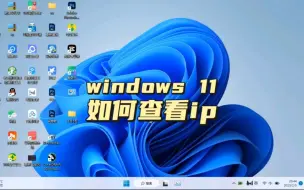 下载视频: windows11如何查看ip地址