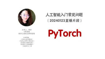 Télécharger la video: 一个视频搞懂PyTorch~~