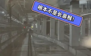 Descargar video: 【上海地铁】15号线疑似购增新车，VVVF根本不是长鼻猴！