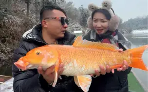 出门钓鱼，这种水库老板我真是第一次遇见，绝不轻饶他！