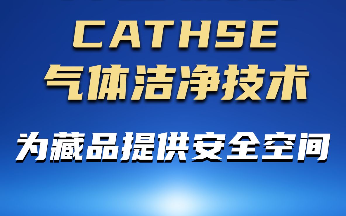 CATHSE气体洁净技术 为藏品提供安全空间哔哩哔哩bilibili