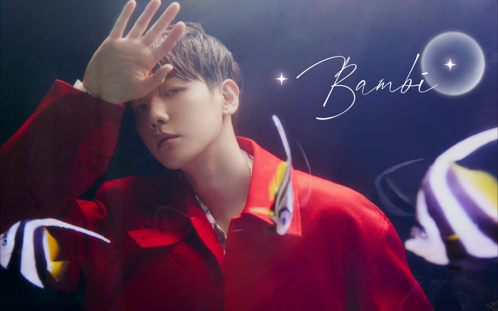 【exo 边伯贤】挑战天才爱豆/百万solo边伯贤《bambi》