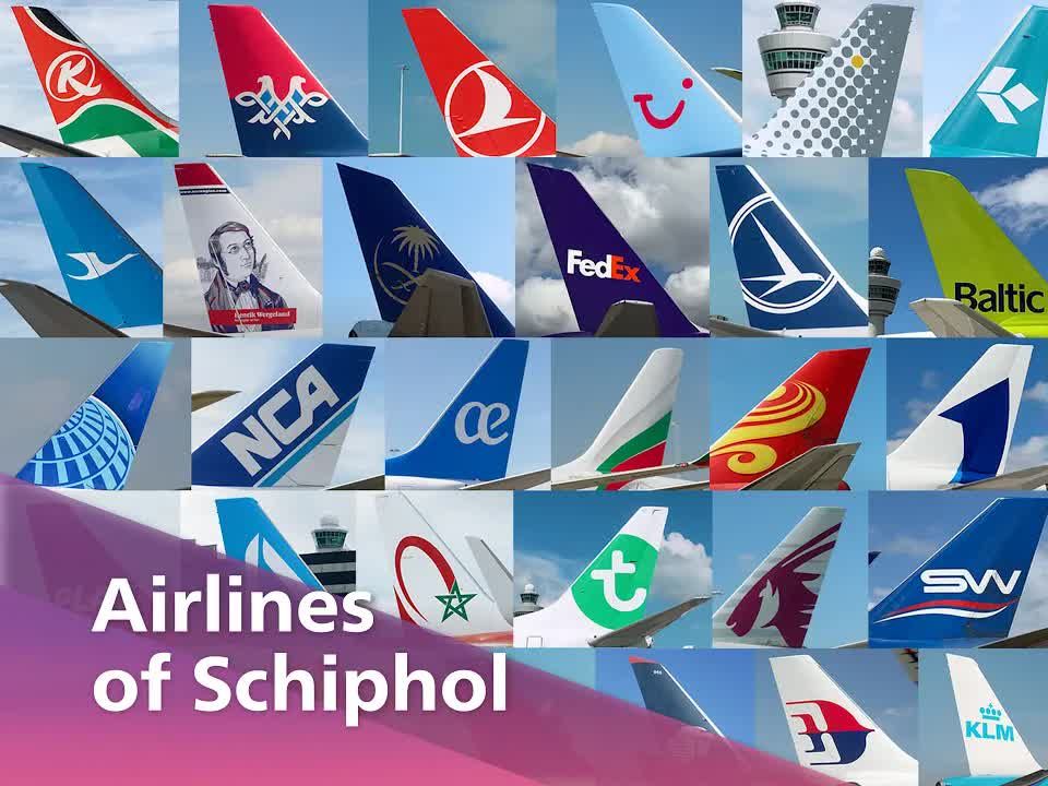 We proudly present the airlines of Schiphol ✈️哔哩哔哩bilibili