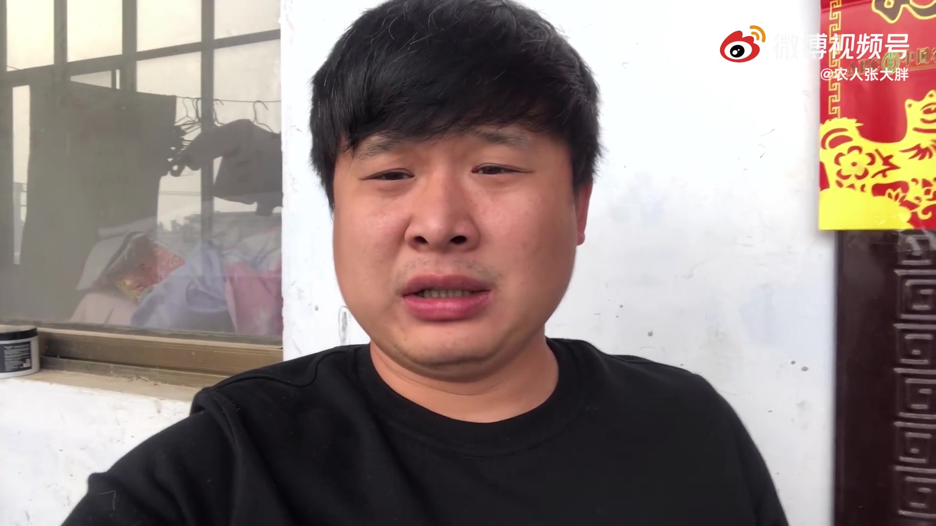 四脚着地身高97体重高达200斤这还是狗吗太吓人了