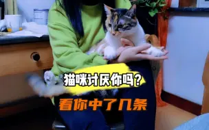 Скачать видео: 猫咪讨厌你的五个表现