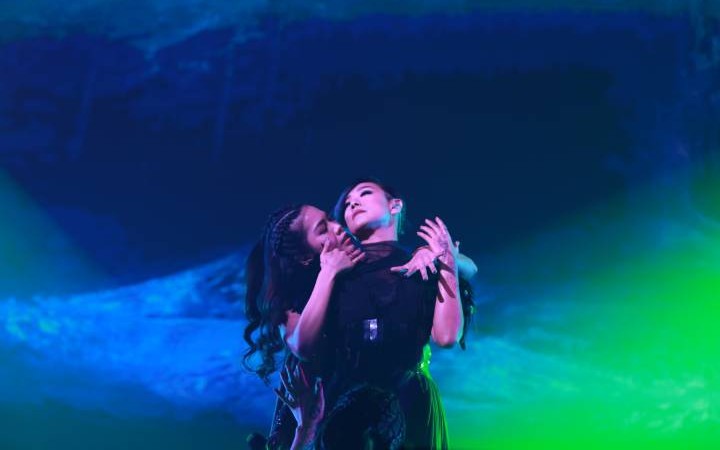 林忆莲pranava part Ⅱ 上海‖1.27 无心睡眠cut