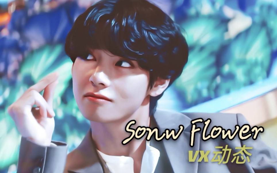 活动  【bts|金泰亨】[snow flower] vx状态·有你在身旁,世界全是