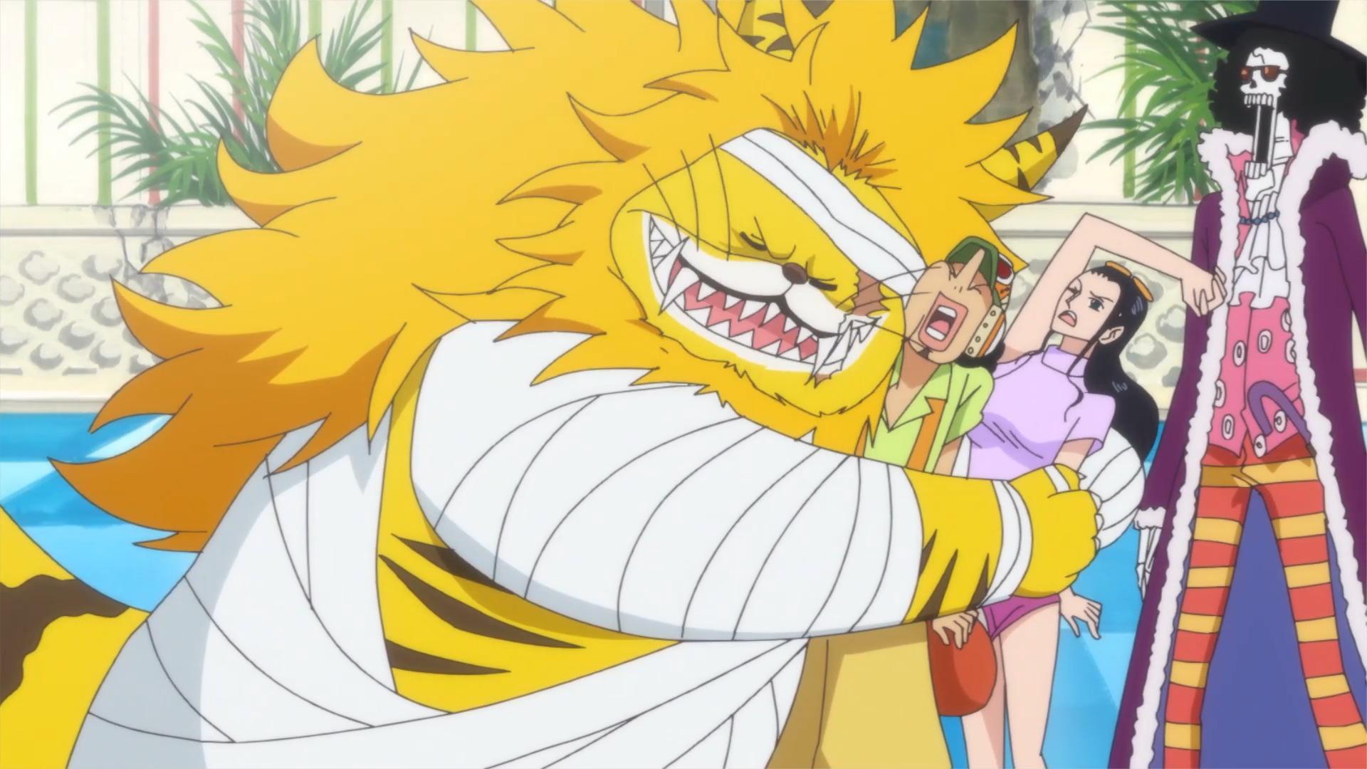 海贼王423:山治身份竟是杰尔马66的人,猫蝮蛇展现逗逼气质!