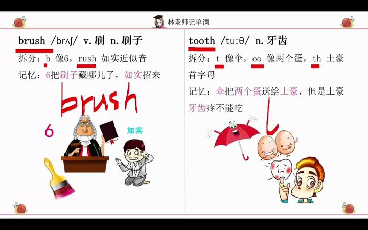 brush刷子、tooth牙齿单词记忆#单词速记 #英语 #英语单词教学7210571939121827075哔哩哔哩bilibili