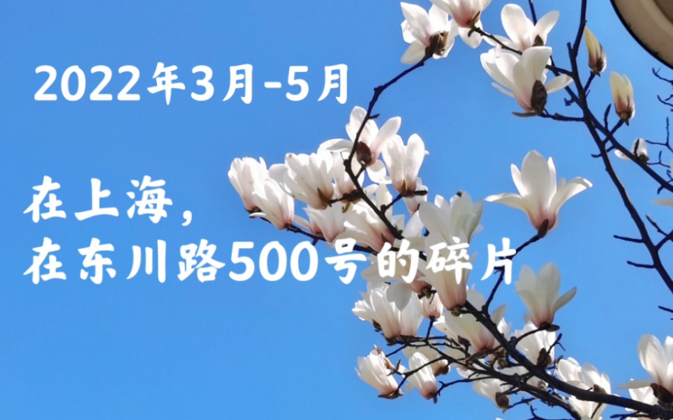 [图]在上海，在东川路500号，我留存的2022年3月到5月的记忆。|封校记录