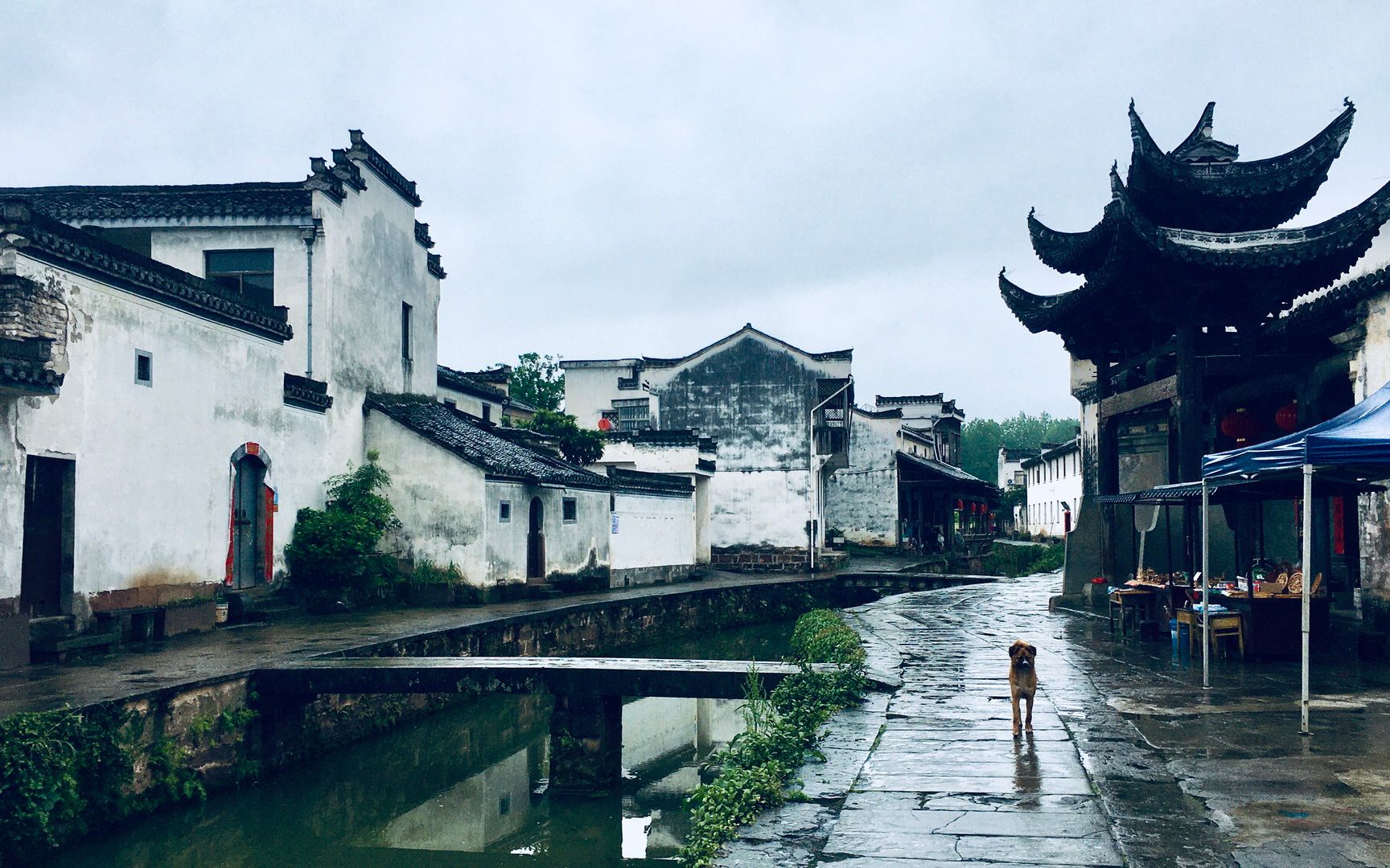 [图]徽州印象-雨中唐模