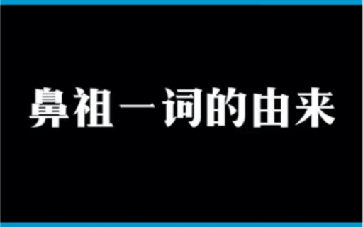 鼻祖一词的由来哔哩哔哩bilibili