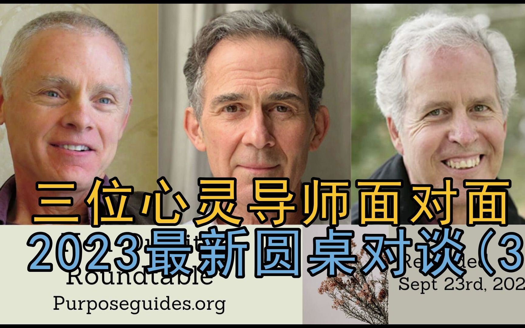 每位老师教的都不同,听谁的?心灵导师圆桌(3) |阿迪亚香提 对话 Rupert Spira & John哔哩哔哩bilibili