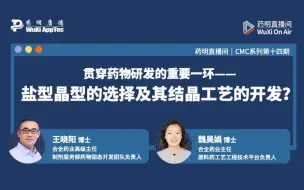 Download Video: CMC系列(十四)：盐型晶型的选择及其结晶工艺的开发