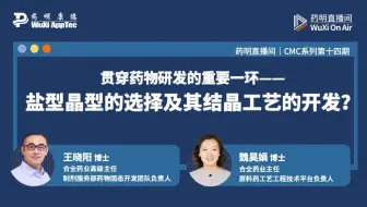 CMC系列(十四)：盐型晶型的选择及其结晶工艺的开发