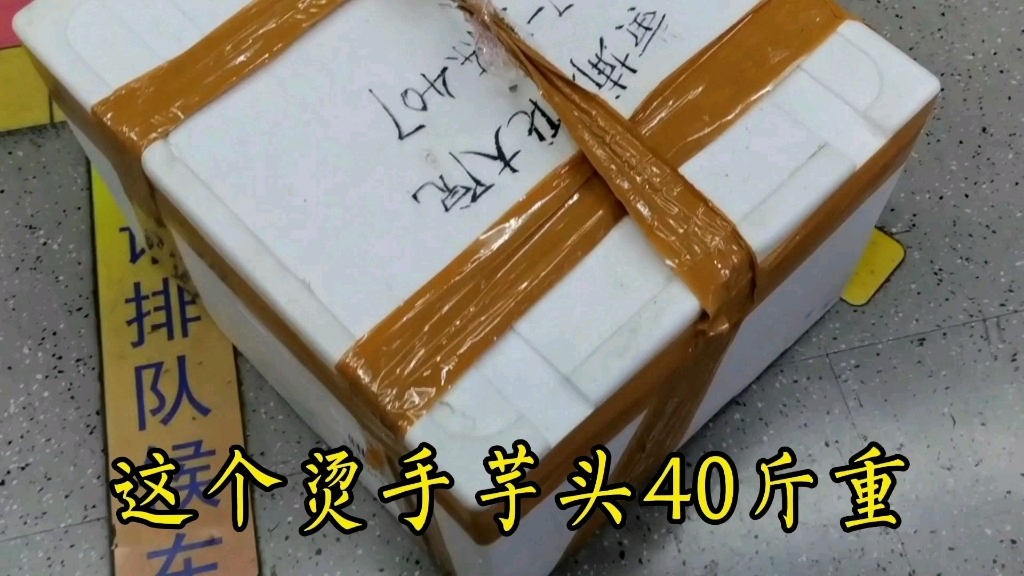 顺丰同城兼职,接了5个单子,收入流水199元,278元大单子不敢接哔哩哔哩bilibili