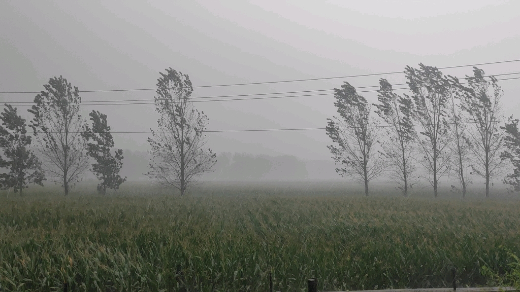 [图]河南的雨怎么还不停啊，连阴雨下了半个多月，才晴没两天，昨晚开始到现在暴雨一直没停，赶紧停吧啊啊啊