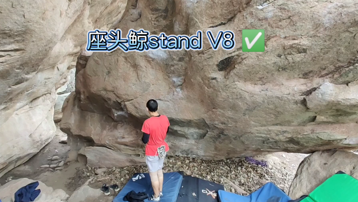 座头鲸stand V8 (done ✓)哔哩哔哩bilibili