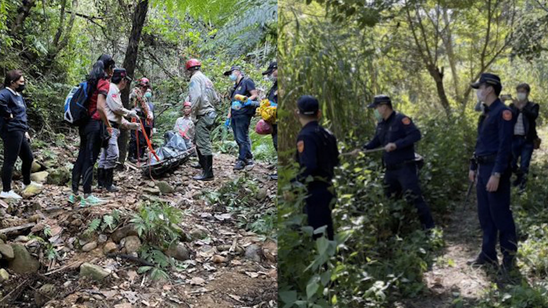 [图]景区内1对情侣与1男子悬尸树上，场面恐怖，生前行为让人细思极恐