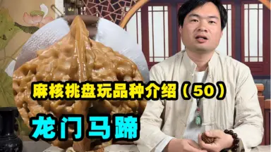 文玩核桃龙门涧-哔哩哔哩_Bilibili