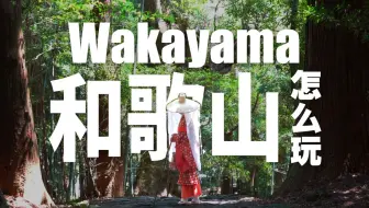 和歌山乐享周游券 平安服装穿着体验、金枪鱼特制午餐、动物游乐园 冒险大世界、和歌山拉面、纪三井寺、白滨海中展望塔、温泉、鲸鱼博物馆、观光周游巴士、纪之松岛游览船