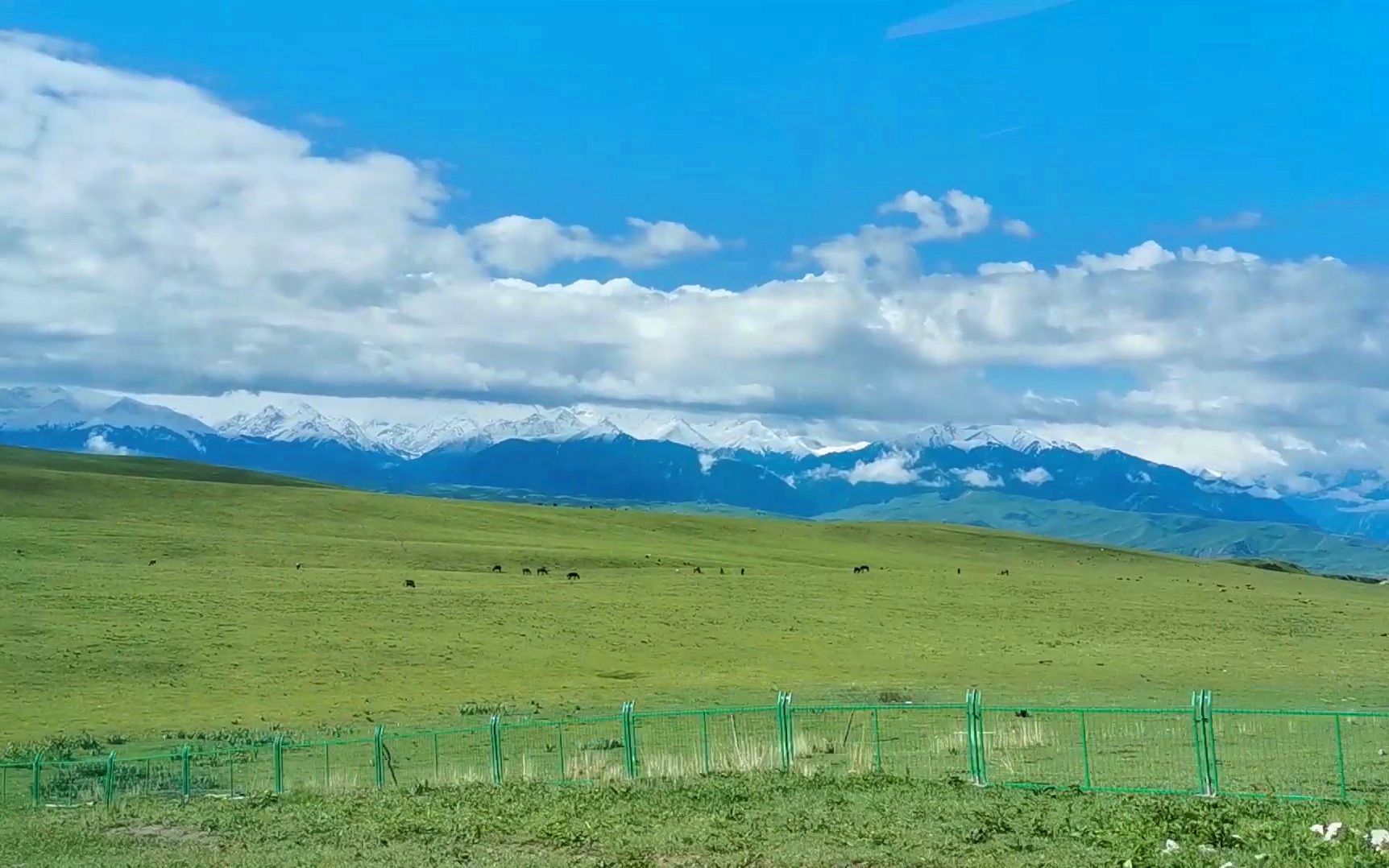 新疆伊犁州喀拉峻大草原 国家5a级旅游景区 乌孙夏都观景点的美景