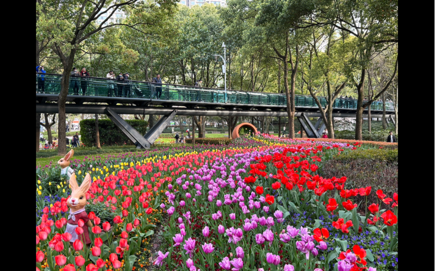 漫步上海:徐家汇公园