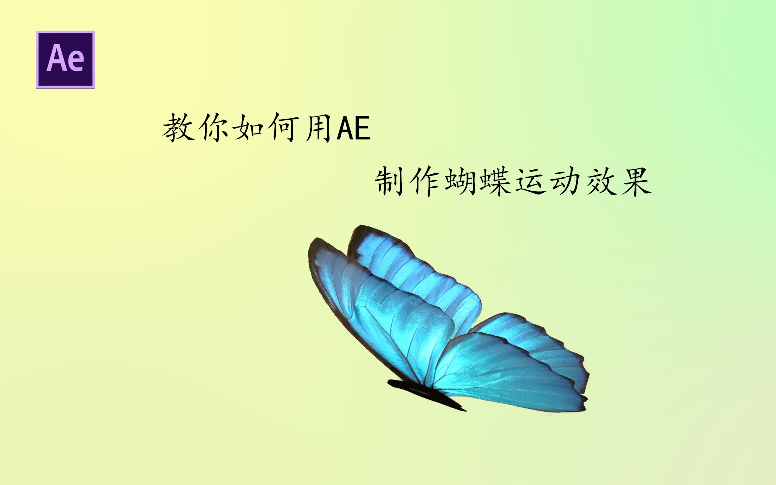 AE特效(教你怎么让蝴蝶飞起来)哔哩哔哩bilibili