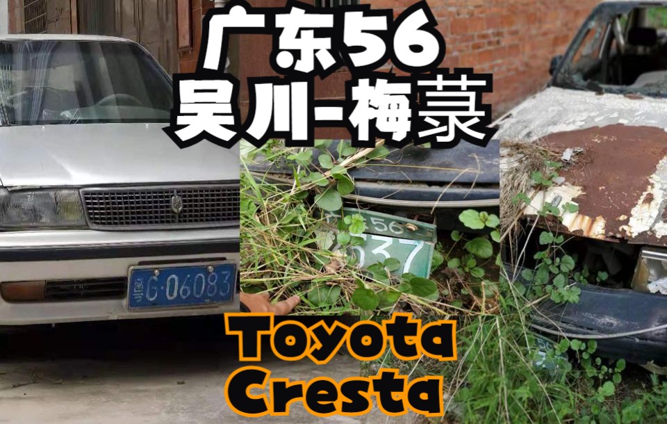 【个人实拍】吴川梅菉两台mark II /Cressida 基先达X80,一台悬挂86式车牌哔哩哔哩bilibili