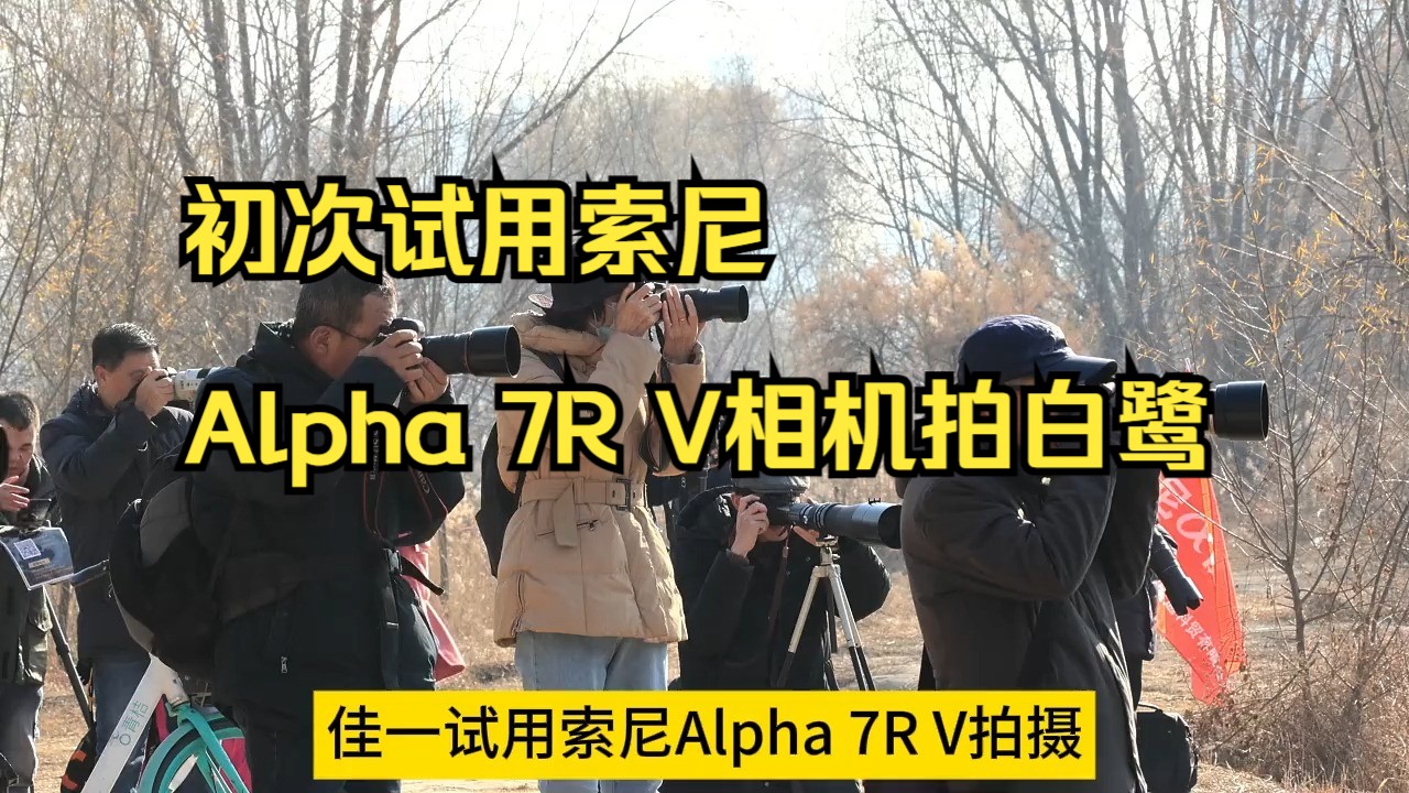 初次试用索尼Alpha 7R V相机拍白鹭!哔哩哔哩bilibili