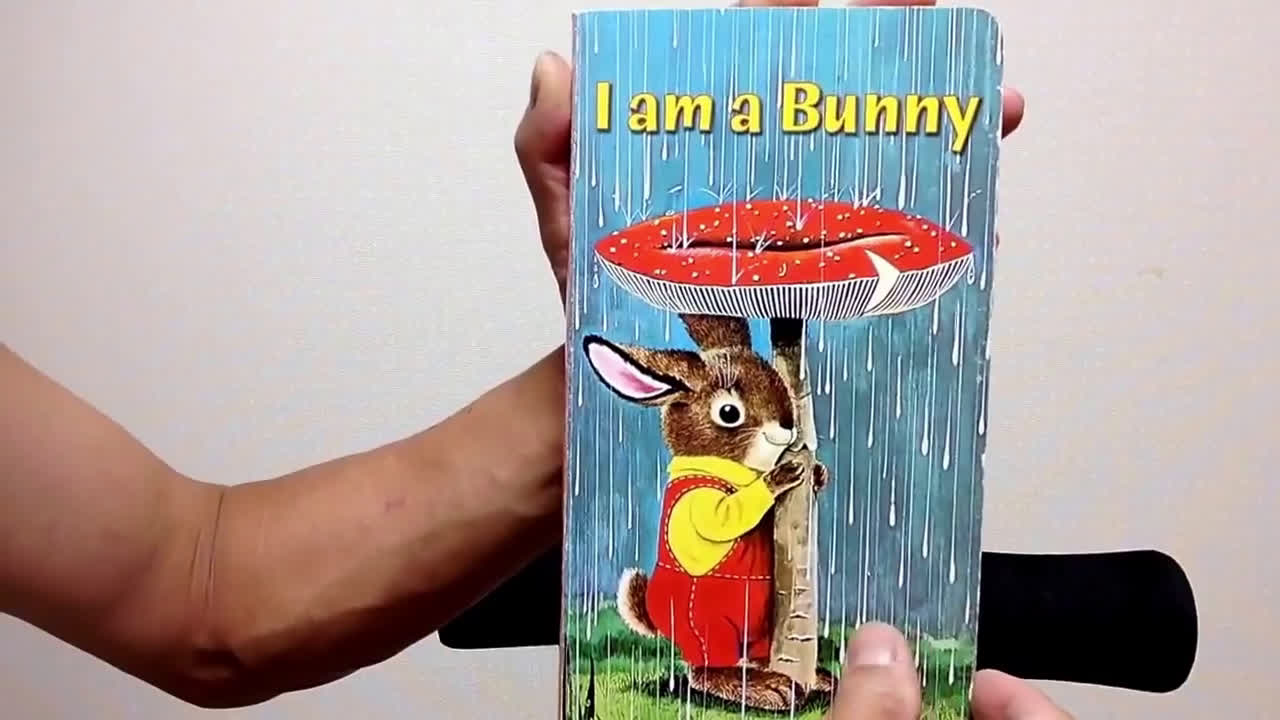 [图]I am a Bunny-read  aloud