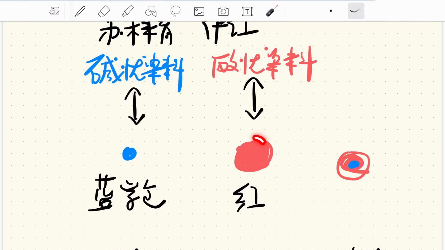 组织学与胚胎学嗜酸性,嗜碱性哔哩哔哩bilibili