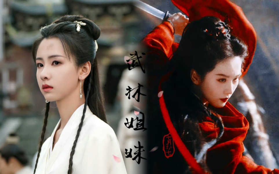 刘诗诗/陈都灵 | "我有这个世界上最好的姐姐"姐妹花共闯武林
