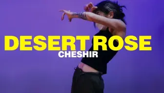 Cheshir 帅气纹身姐姐流畅卡点编舞 即兴 沙漠玫瑰 Desert Rose 哔哩哔哩 Bilibili