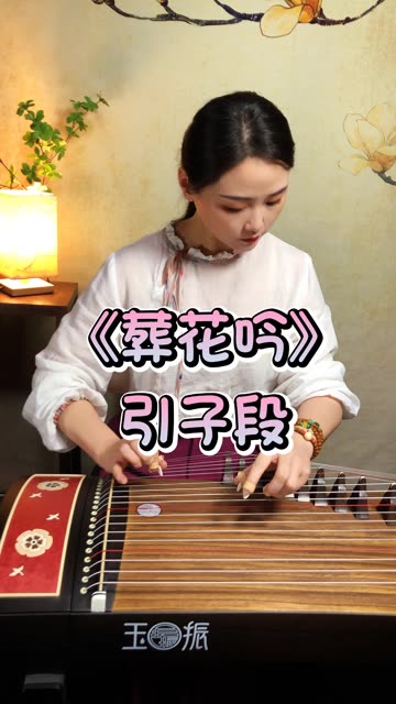 经典国风音乐《葬花吟》纯筝版弹给你听