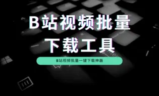 Download Video: B站视频下载工具，一键批量下载！轻松方便