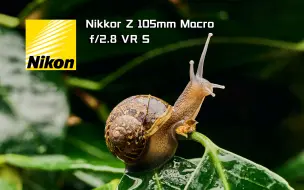 Descargar video: [人类高质量微距镜头]尼康Nikkon Z 105mm Macro f/2.8 VR S上手体验