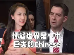 Download Video: 新加坡CEO被连问8次是不是中国人，美议员就这么办事？