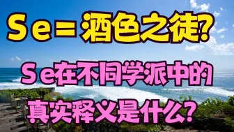 Download Video: Se外倾感觉在三个MBTI荣格八维流派中的真实释义