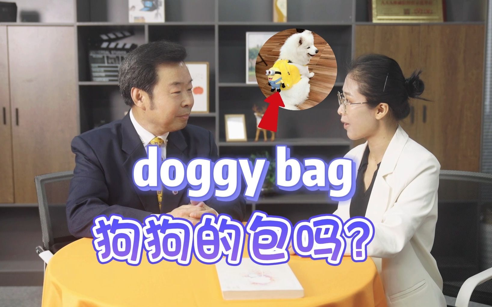 被朋友圈问了800遍的问题, doggy bag 不是狗狗的包是什么?哔哩哔哩bilibili