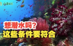 Download Video: 【山海福建】想潜水吗？这些条件要符合