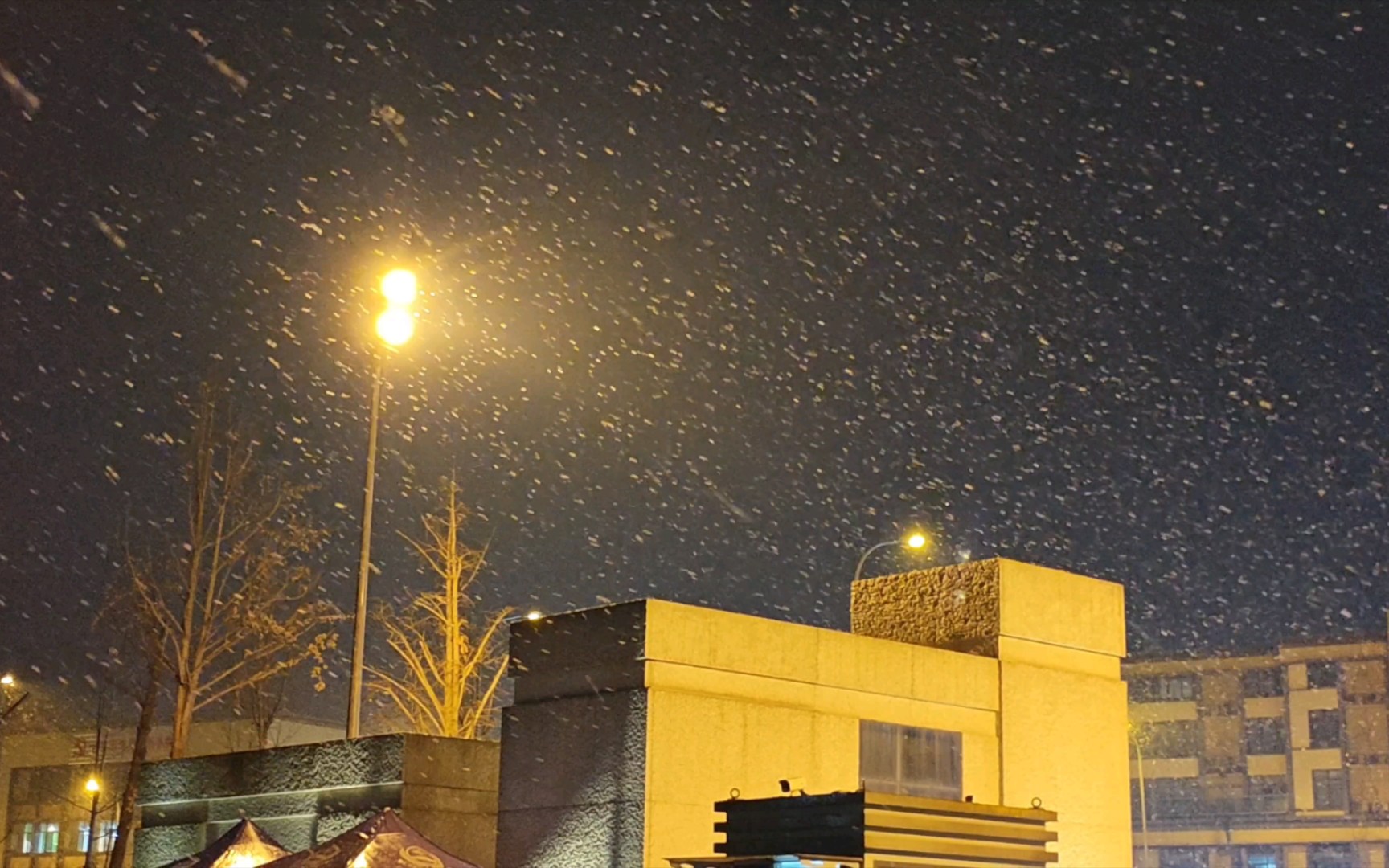 雪夜漫步图片