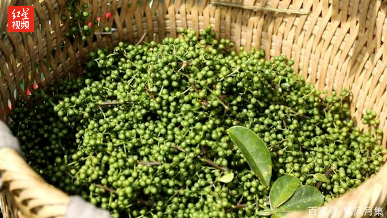 四川多家餐馆起名“青花椒”遭索赔 商家:有关部门正在帮助维权哔哩哔哩bilibili