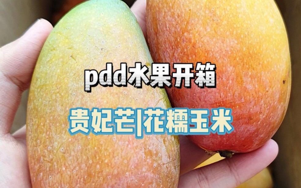 pdd贵妃芒,花糯玉米开箱哔哩哔哩bilibili