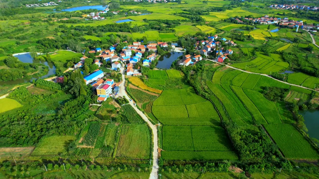 湖北省孝感市孝南区西河镇下蔡湾