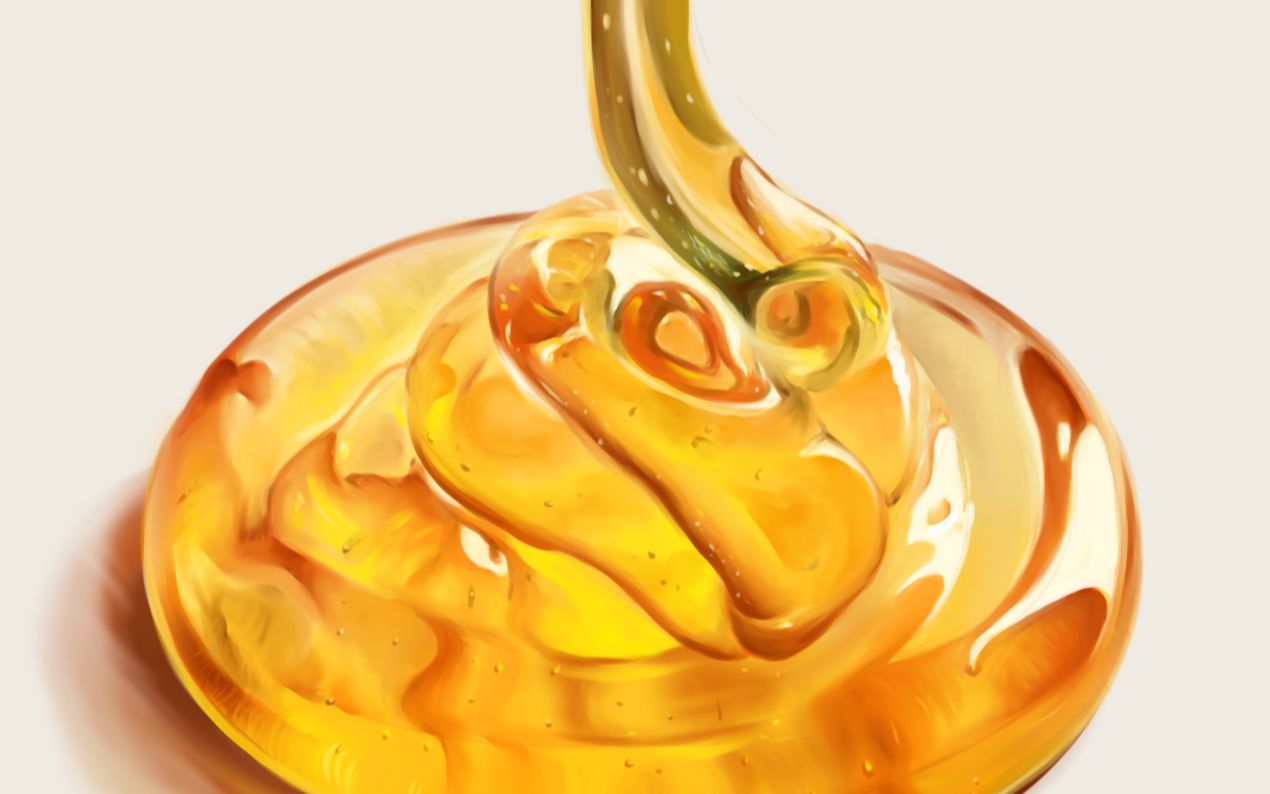 【数位板绘画过程】照片写生 蜂蜜