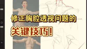 修正胸腔透视问题的关键技巧！