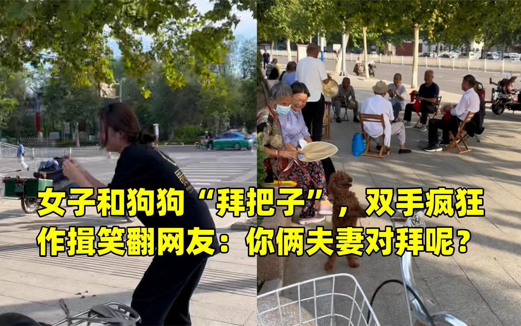 女子和狗狗"拜把子",双手疯狂作揖笑翻网友:你俩夫妻对拜呢?