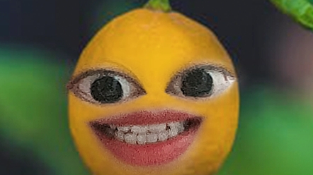 哈哈哈哈哈哈哈柠檬头笑死我了