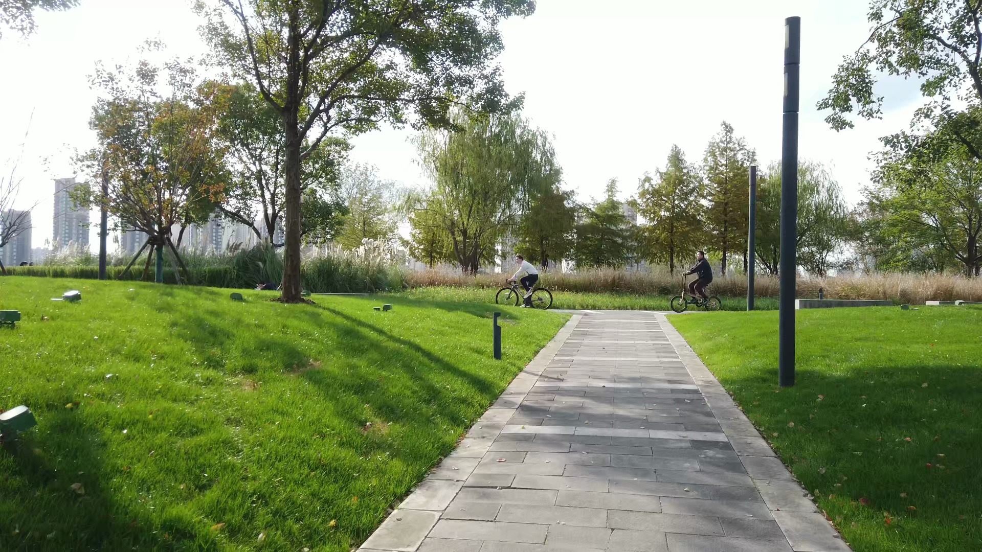 20号望江驿 鳗鲡嘴滨江绿地 东岸绿道 徒步道